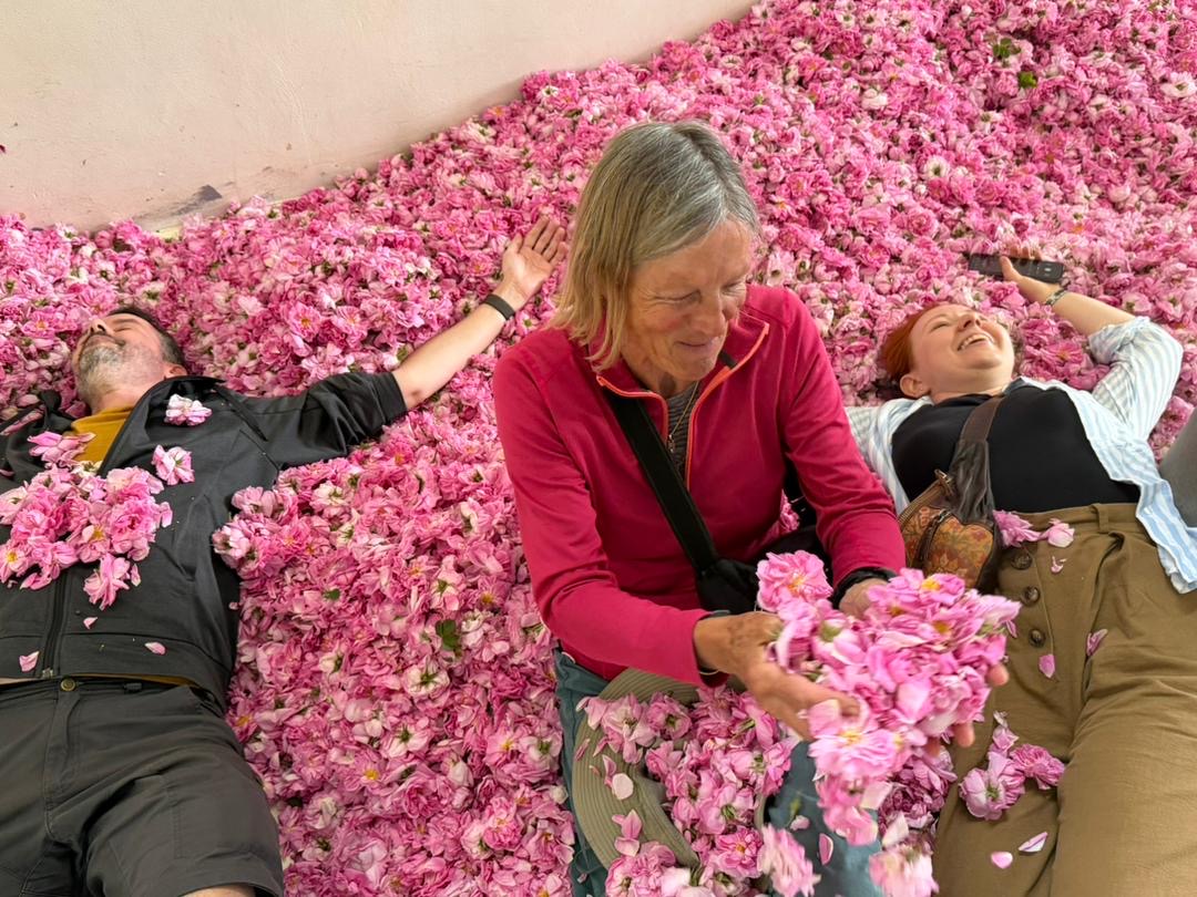 Tourists resting on a bed of Damascene roses